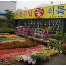 종택농장 이미지