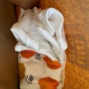 이도목장 이미지