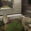 선흘초옥 이미지