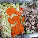 노리울 Daum카페