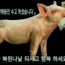 여우야