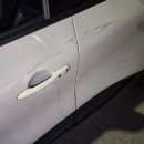 돼지의전성시대 이미지