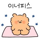 해피케어컴