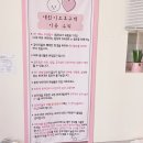댕댕이 보호구역 이미지