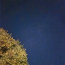 [경북캠핑] &#39;경주 에듀팜파크&#39; 애견동반 가능 D존 이용 솔직후기