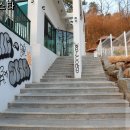 멍스타애견 이미지