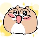 사가정로51길 (2) 이미지