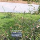 세병공원(아파트쪽) 이미지