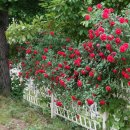 흥덕초등학교 이미지