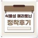 개나리약국 | 식물성 메라토닌 종류별로 구매해보고 테아토닌으로 정착한 후기