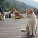 상주힐링별장