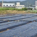 고수농장 이미지