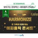 해피홀릭 콘서트 이미지