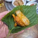 삼한꼼장어 네이버블로그