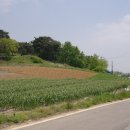 아찬리 이미지