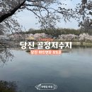 연꽃섬 | [당진여행] 당진 가볼만한곳 하트연못 골정지 벚꽃과 연꽃 구경 가능한 곳!