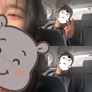 제이오케이컴퍼니강남푸릇해 | 갈테야 갈테야 딸기 먹으러 갈테야