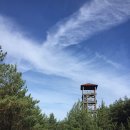 라운드트립