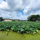 광석보건지소 이미지