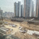 골든약국 이미지