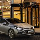 펫크루즈 이미지