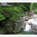 가야서당 이미지