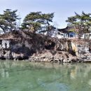 진전면100 이미지