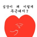 오뎅오색