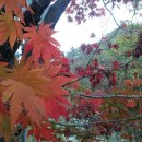 덕지농장 이미지