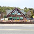 송정꽃게 이미지