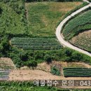 영월전원부동산공인중개사사무소 이미지