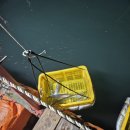 인어좌대 이미지