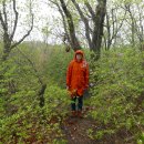 고암경로당 | 세번째 오른 둔철산 이번에는 종주 코스를 선택