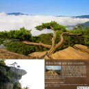서리산 ~ 축령산(20. 9.19) 추억을 찾아서
