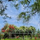 장미공원자전거대여소 이미지