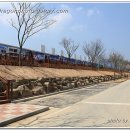 곡성 섬진강 기차마을 펜션 이미지