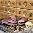 온가득한의원 이미지