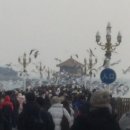 월드컵로 54 횡단보도 옆 | Qingdao city | 칭다오 시 🇨🇳