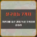 송화비타민과일 | 살구 효능 7가지와 부작용, 기관지에 좋은 음식 살구씨 독성 주의사항