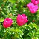 자연미소 - 중구 중앙대로 405 | 자연미소