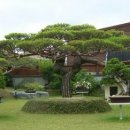 두리조경 이미지