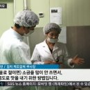 대복 주식회사 이미지