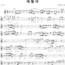 세월아(장윤정) - 악보+MT(?) 이미지