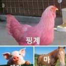 타타스베이글 평택비전점 | 타타스베이글 평택비전점 간단 후기