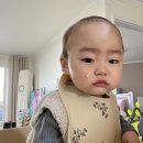 민호카센타 이미지