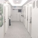 스테이 쉼 이미지