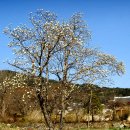 아카데미모텔 이미지