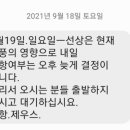 성균관대국가대표 태권도장 이미지