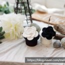 까멜리아 플라워 이미지