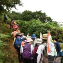 9월21일(토) 9월 정기도보-"강릉바우길, 해파랑길 다함께 걷기 축제"팸투어 (진행-흑진주님) 2/2 이미지